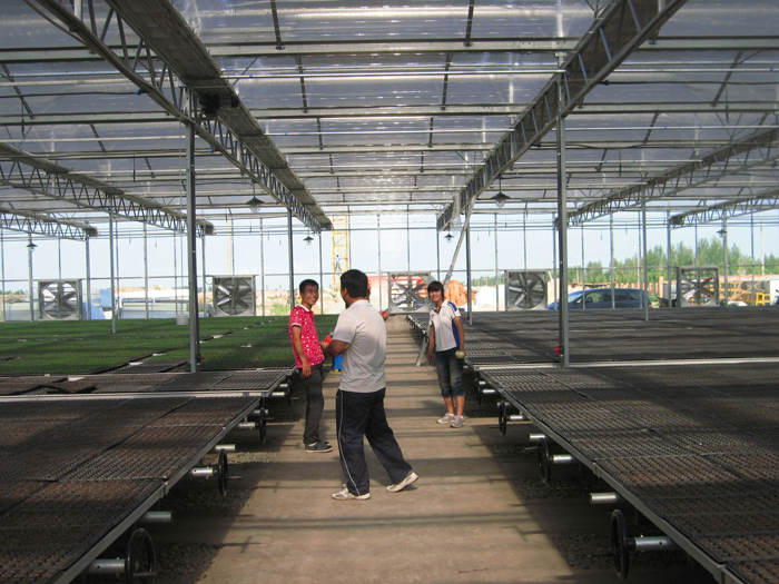 種苗繁育內(nèi)景實(shí)圖