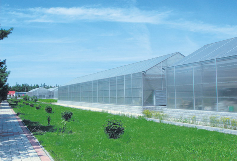 大屋脊PC溫室外景