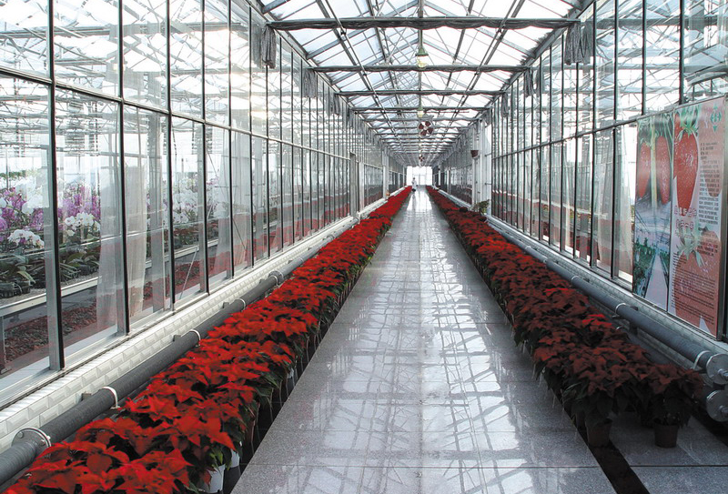 連廊溫室設(shè)計(jì)