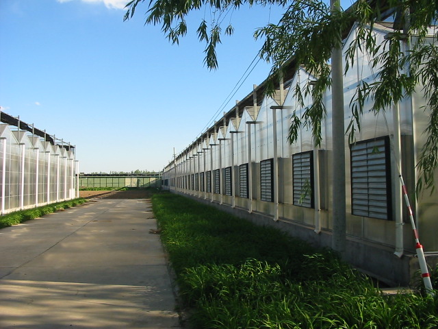 小屋脊PC溫室外景