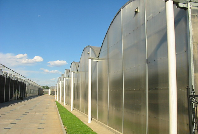 圓拱形PC溫室外景