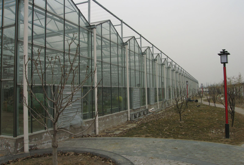 玻璃溫室