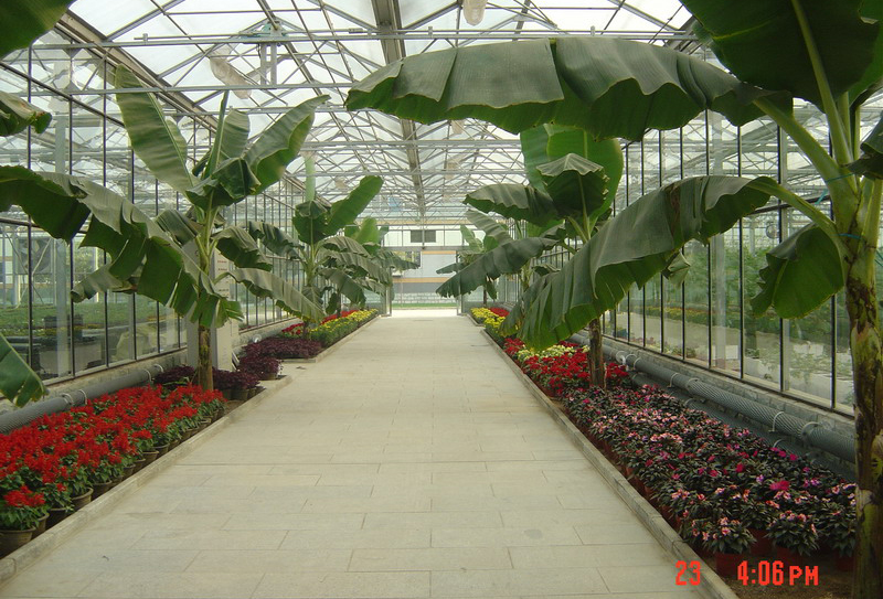玻璃溫室