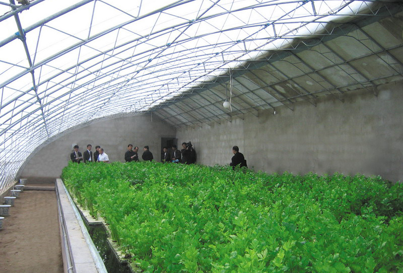 焊接式日光溫室