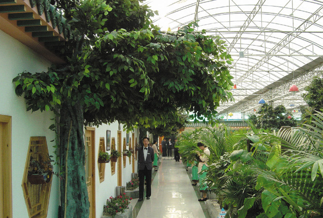 生態(tài)餐廳實(shí)景